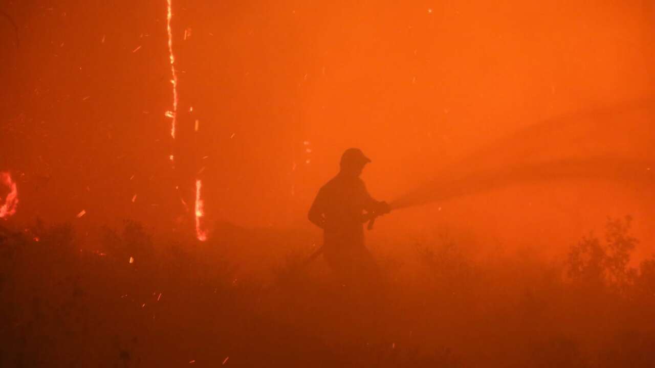 Muğla’da Orman Yangınlarının Acı Tablosu: 3 Yılda Yaklaşık 6 Bin Hektar Alan Kül Oldu 14
